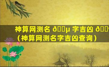 神算网测名 🐵 字吉凶 🐶 （神算网测名字吉凶查询）